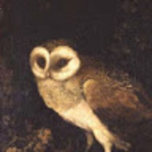 Meet your Posher, Sylvia